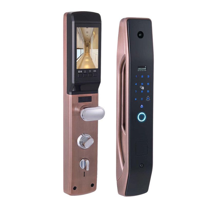 HanDaily Easy to Install Intel - огляд і ціна Smart Home Door Lock